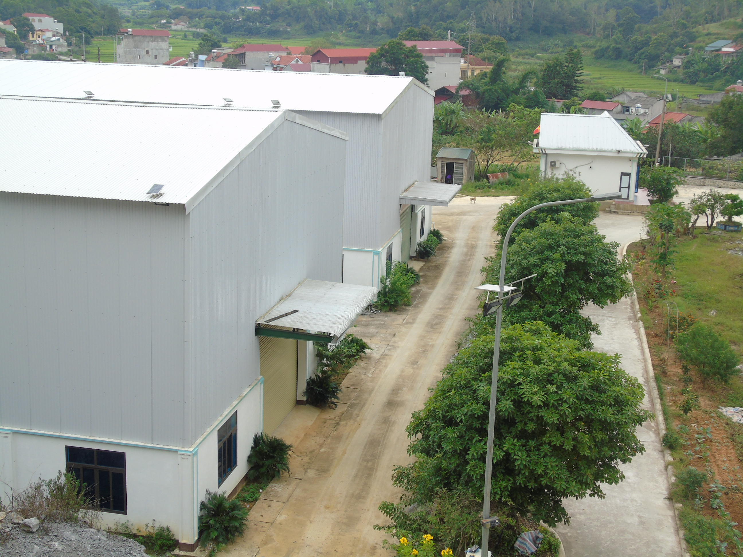 công ty cổ phần thương mại và đầu tư xây dựng dung linh